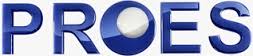 PROES CONSULTORES